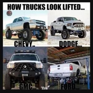 Meet your Posher, Gavin